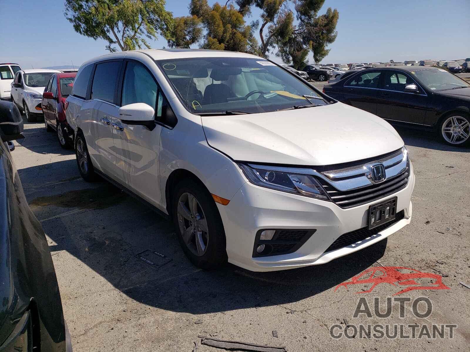 HONDA ODYSSEY 2019 - 5FNRL6H72KB113312