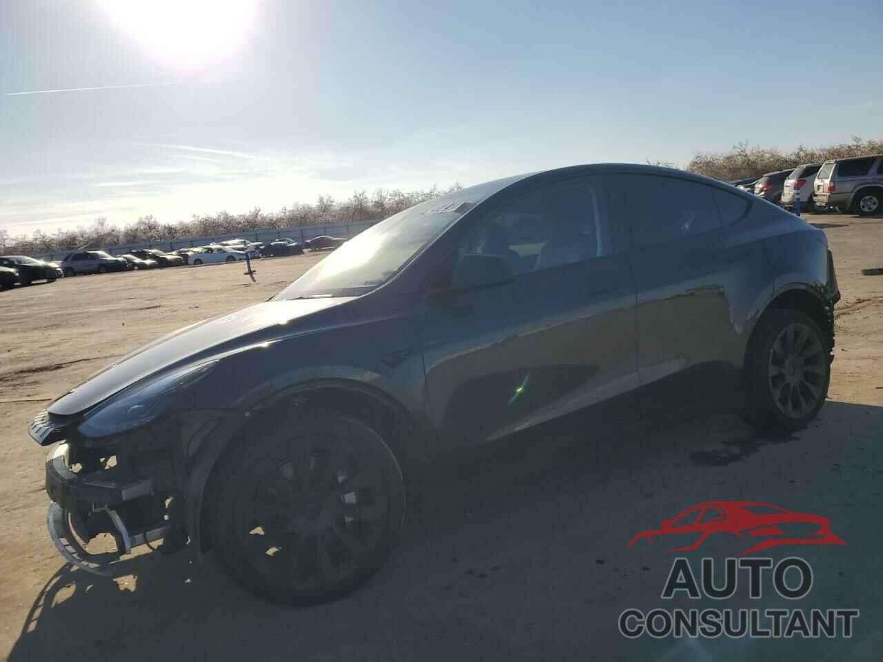TESLA MODEL Y 2024 - 7SAYGDED5RF185245