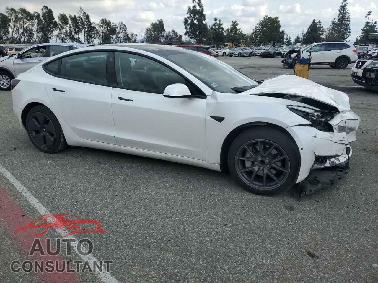 TESLA MODEL 3 2021 - 5YJ3E1EA5MF041513