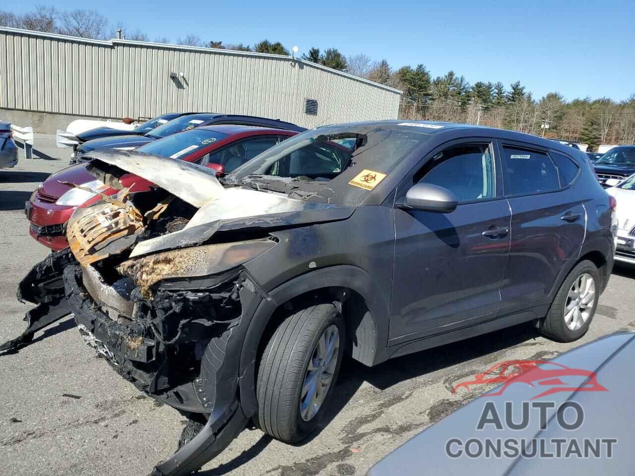 HYUNDAI TUCSON 2020 - KM8J2CA43LU149223