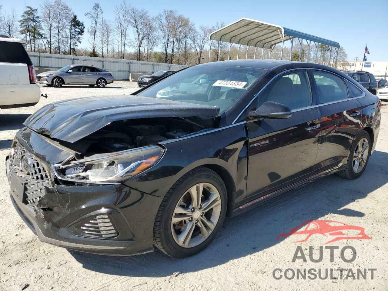 HYUNDAI SONATA 2019 - 5NPE34AF0KH761902