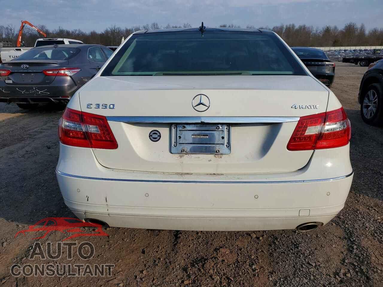 MERCEDES-BENZ E-CLASS 2010 - WDDHF8HB5AA262197