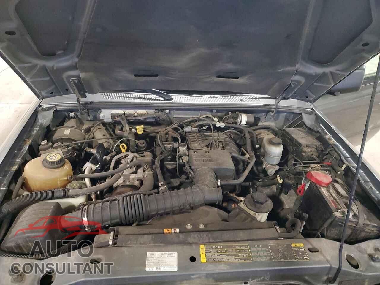FORD RANGER 2009 - 1FTYR14D39PA02132