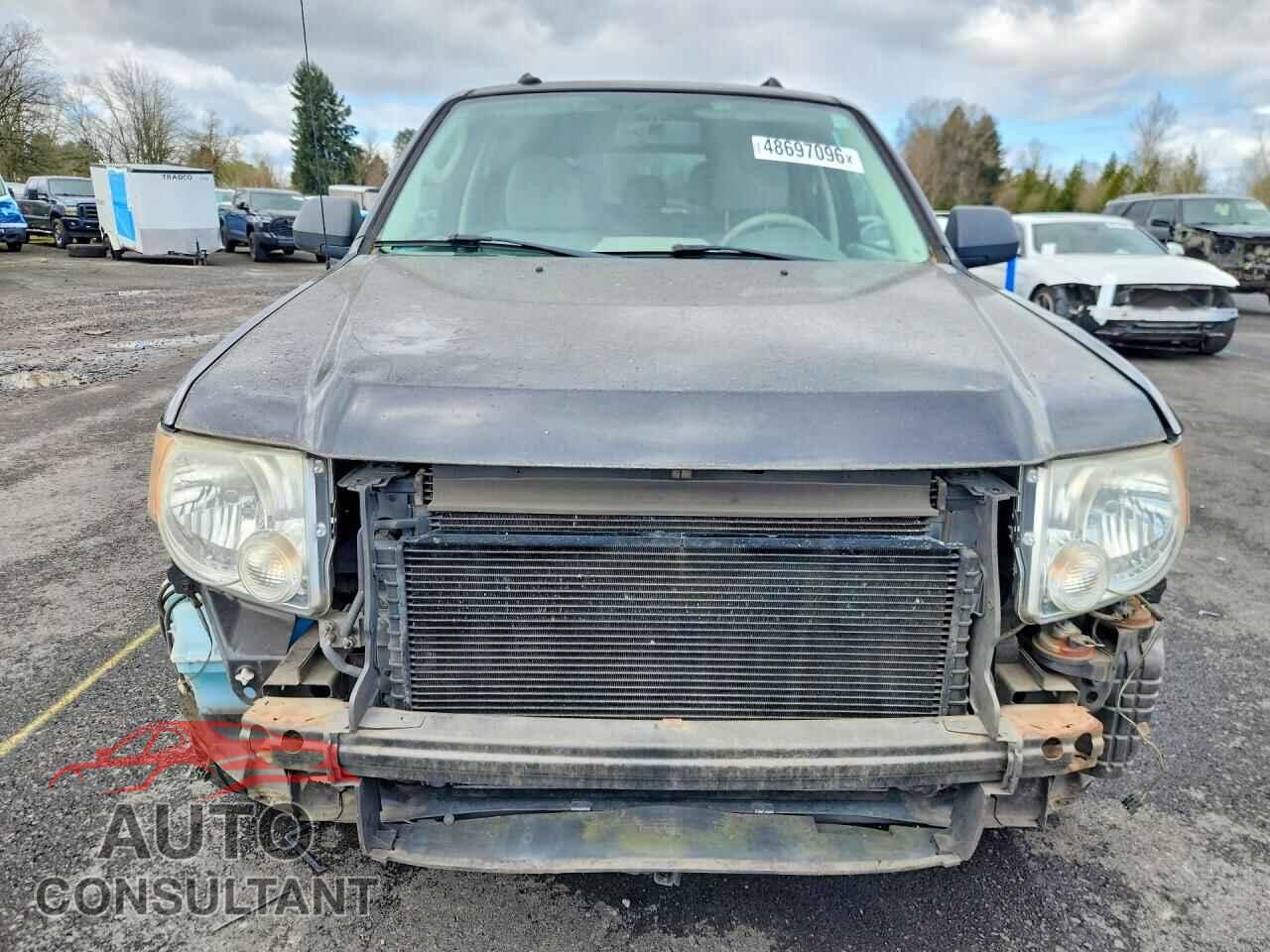 FORD ESCAPE 2010 - 1FMCU4K38AKD07384