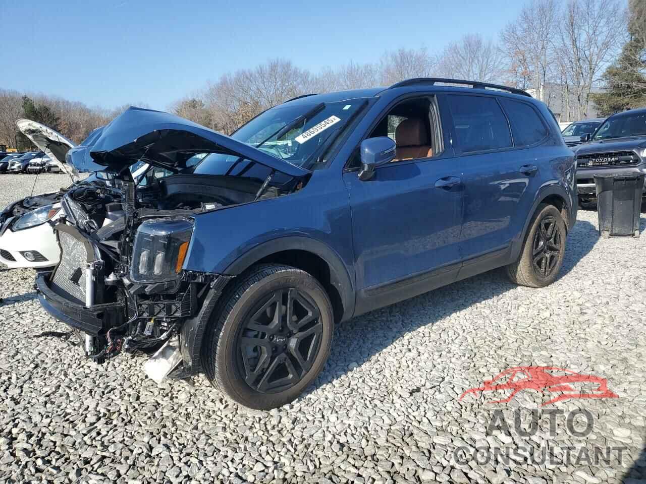 KIA TELLURIDE 2024 - 5XYP5DGC2RG563677