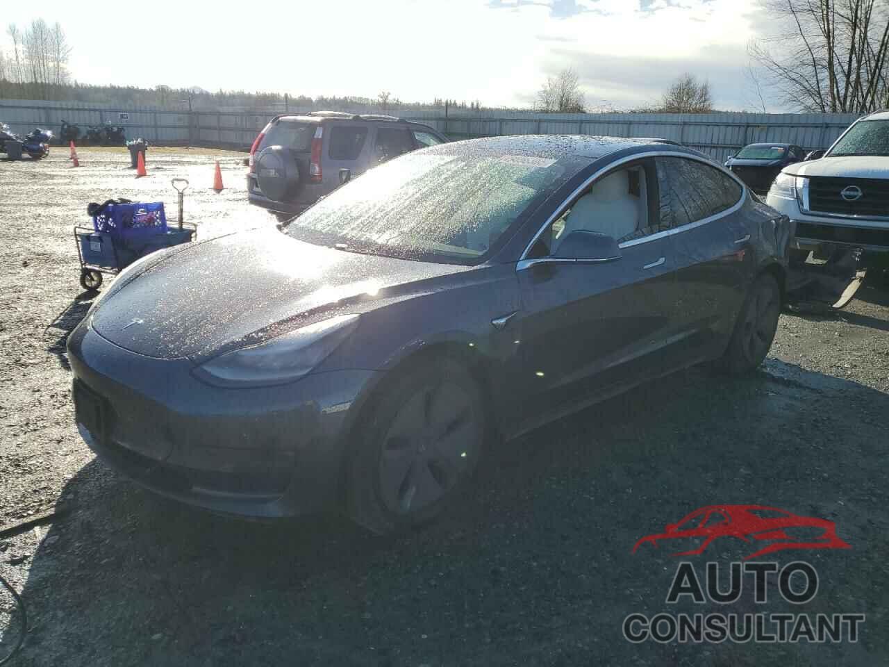 TESLA MODEL 3 2019 - 5YJ3E1EB1KF195304