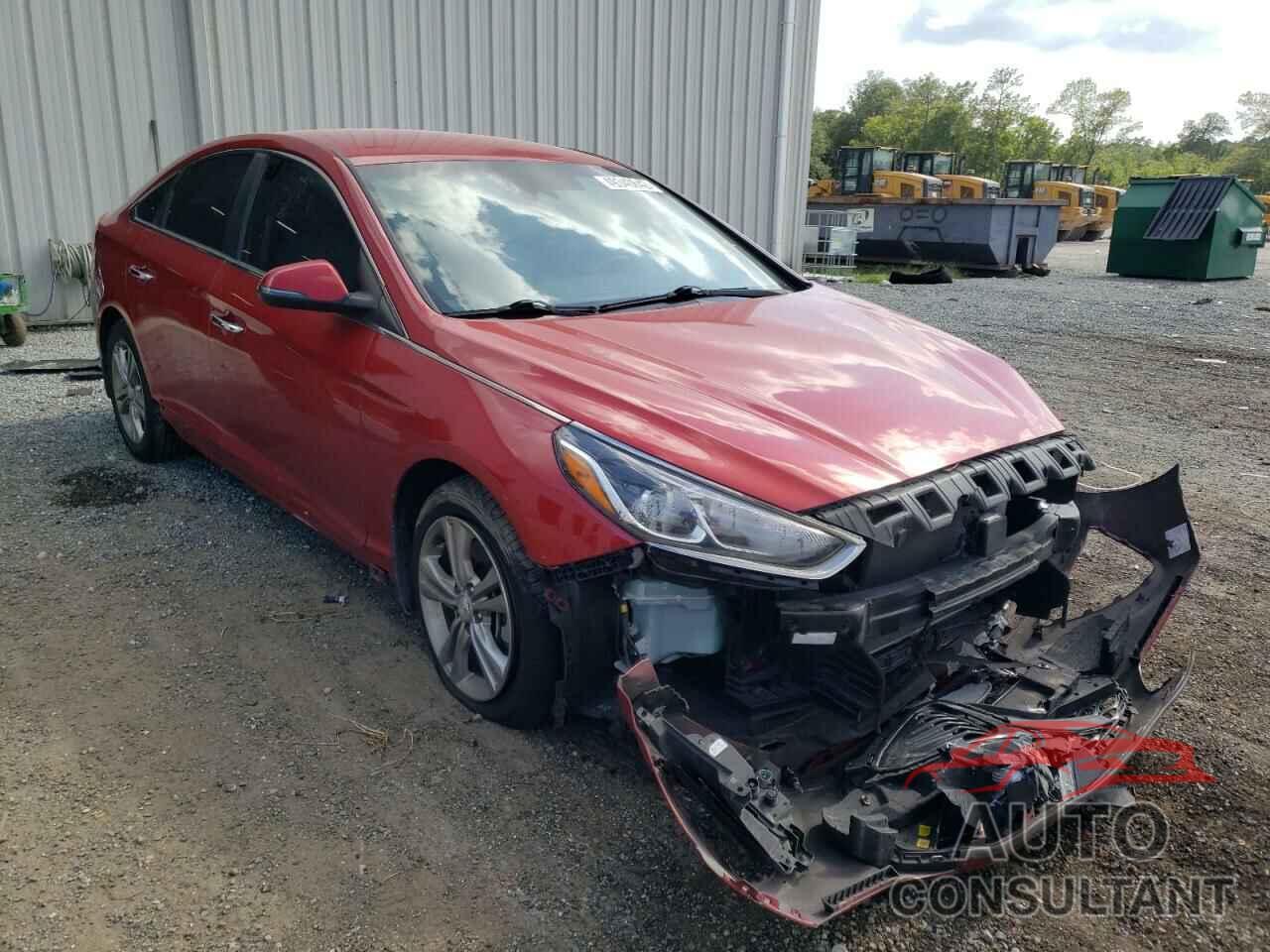 HYUNDAI SONATA 2019 - 5NPE34AF8KH819044