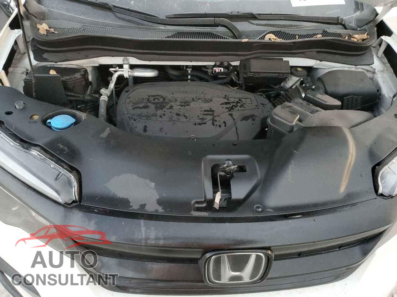 HONDA PILOT 2022 - 5FNYF5H20NB001663