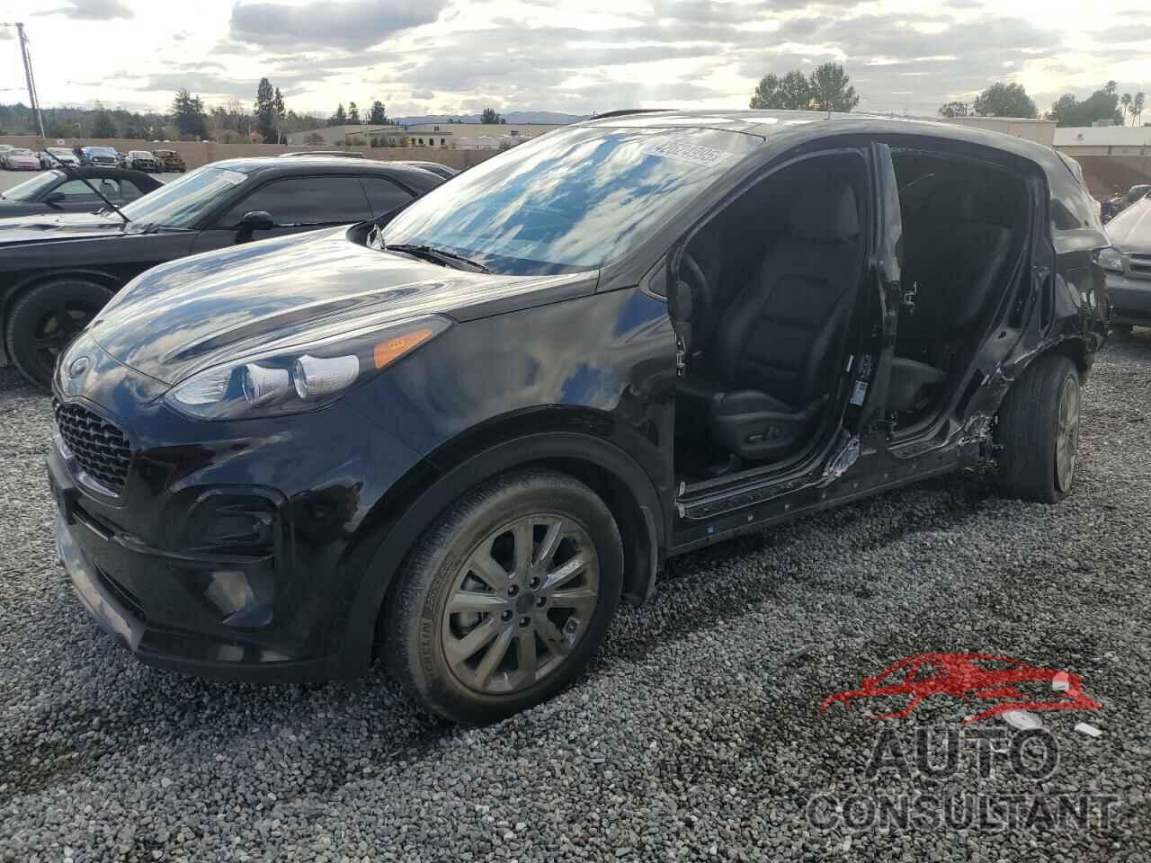 KIA SPORTAGE 2022 - KNDP63AC4N7997395
