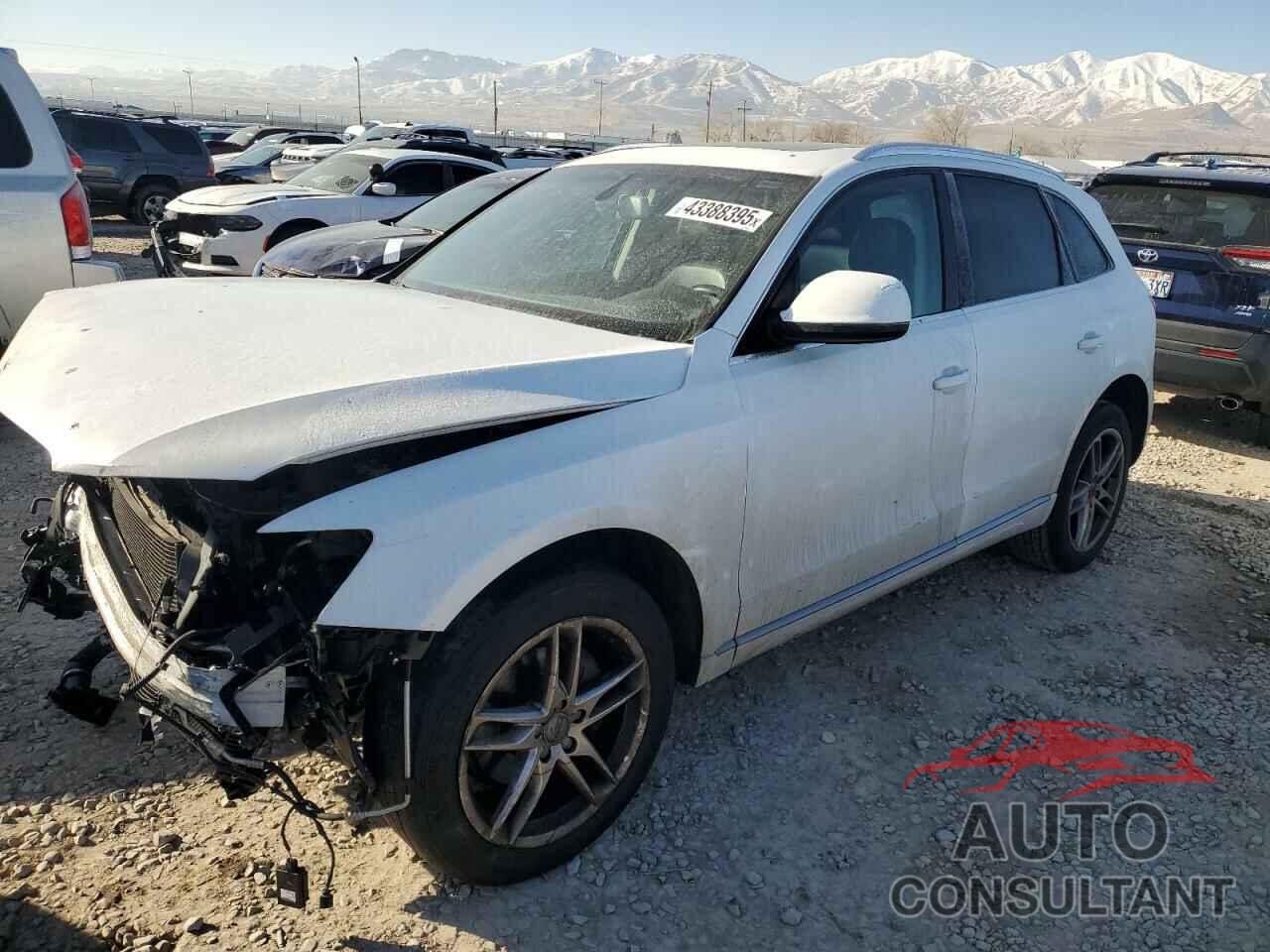 AUDI Q5 2013 - WA1LFAFP6DA010919