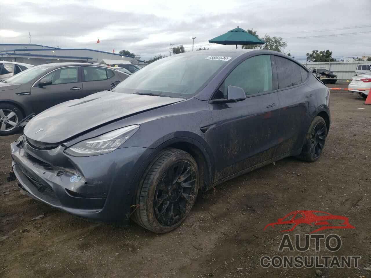 TESLA MODEL Y 2021 - 5YJYGAEE2MF274428