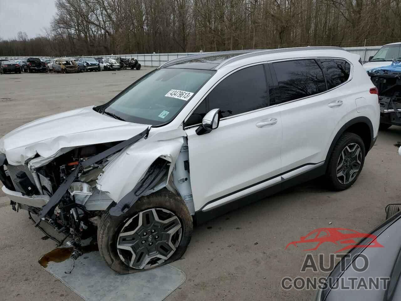 HYUNDAI SANTA FE 2023 - 5NMS3DA16PH002229