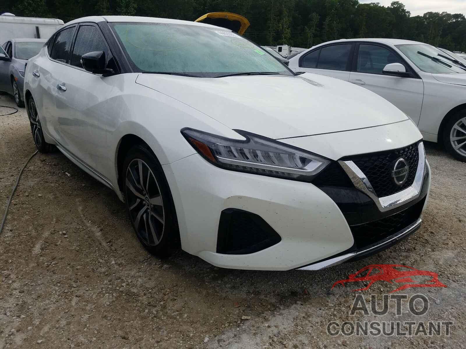 NISSAN MAXIMA 2019 - 1N4AA6AV4KC361320