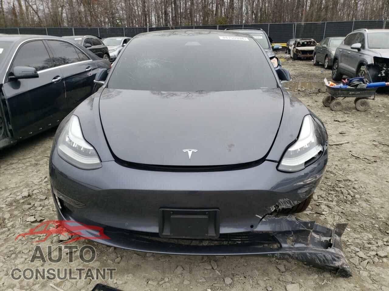 TESLA MODEL 3 2019 - 5YJ3E1EB3KF442001