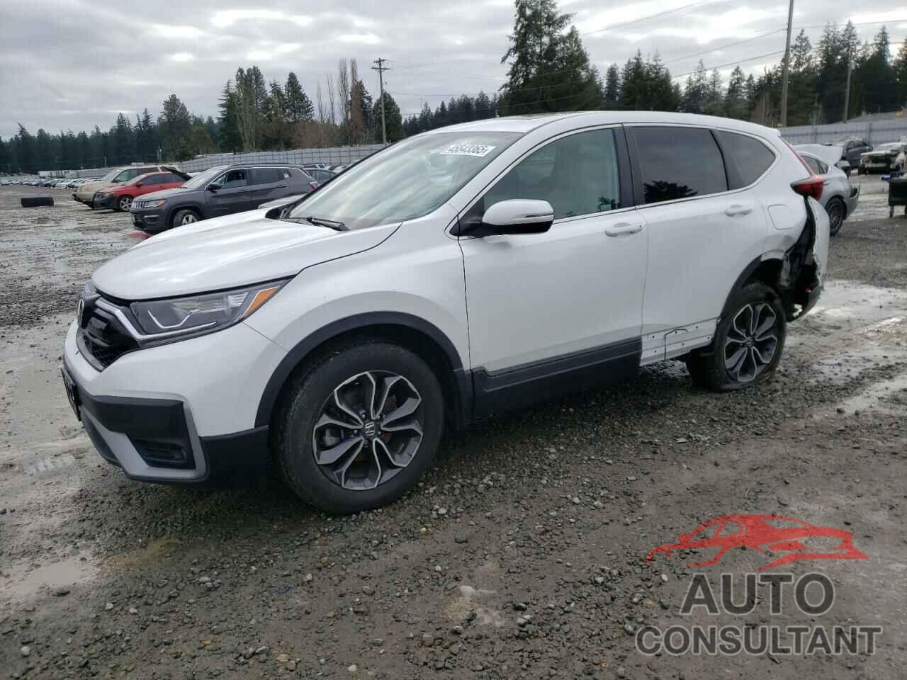 HONDA CRV 2020 - 7FARW2H8XLE023193