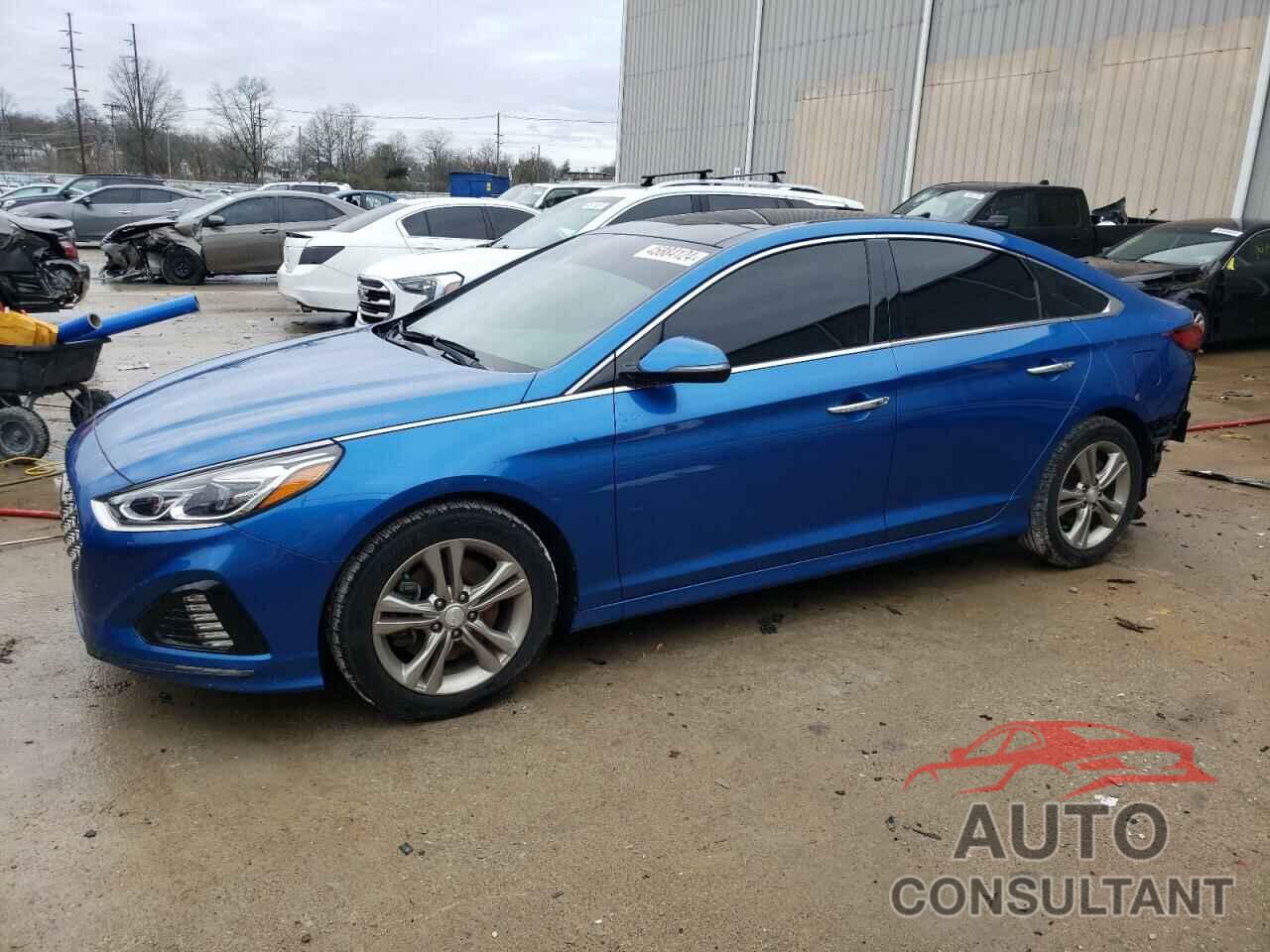 HYUNDAI SONATA 2019 - 5NPE34AF6KH755473