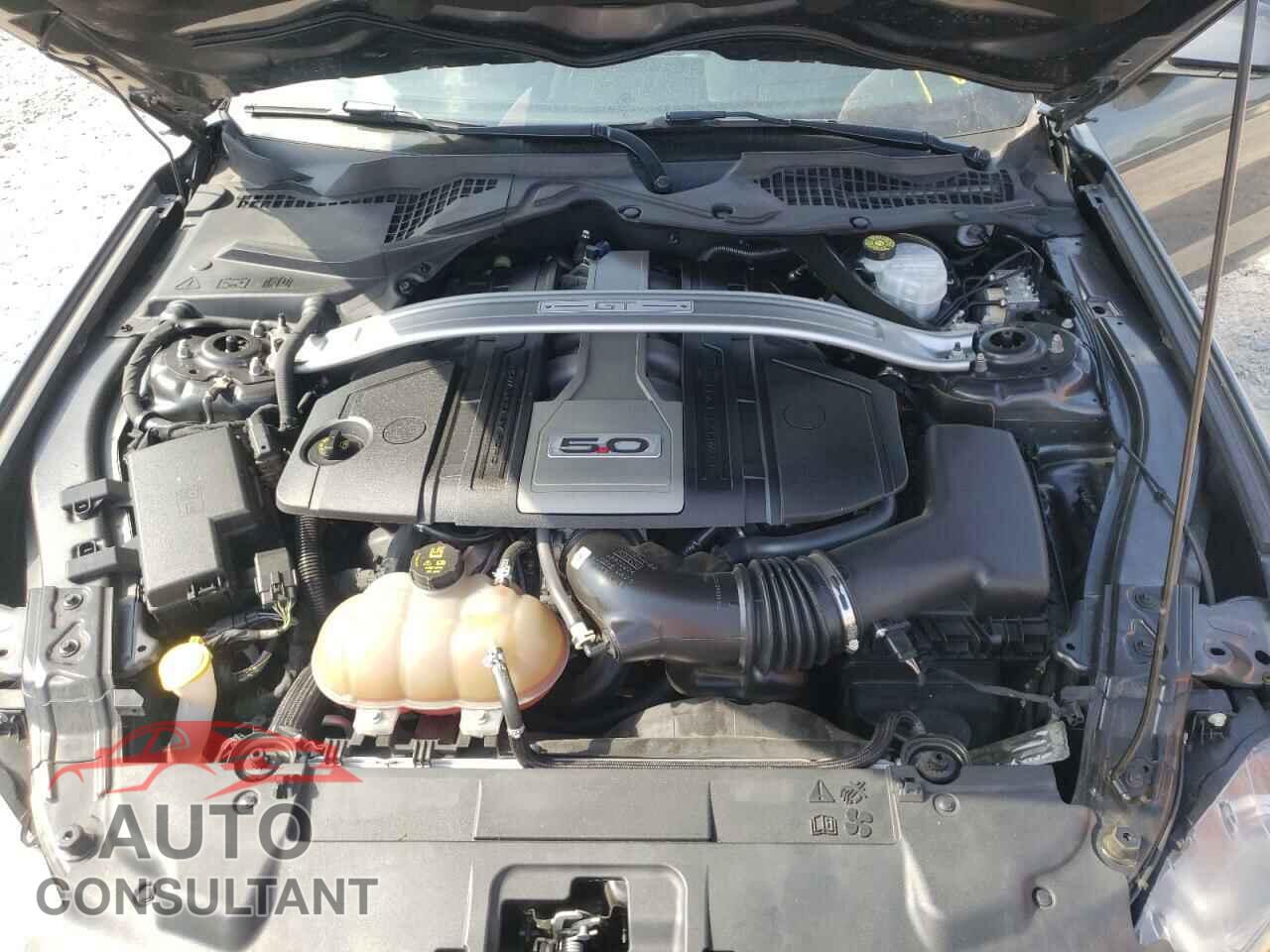 FORD MUSTANG 2019 - 1FA6P8CF2K5122908