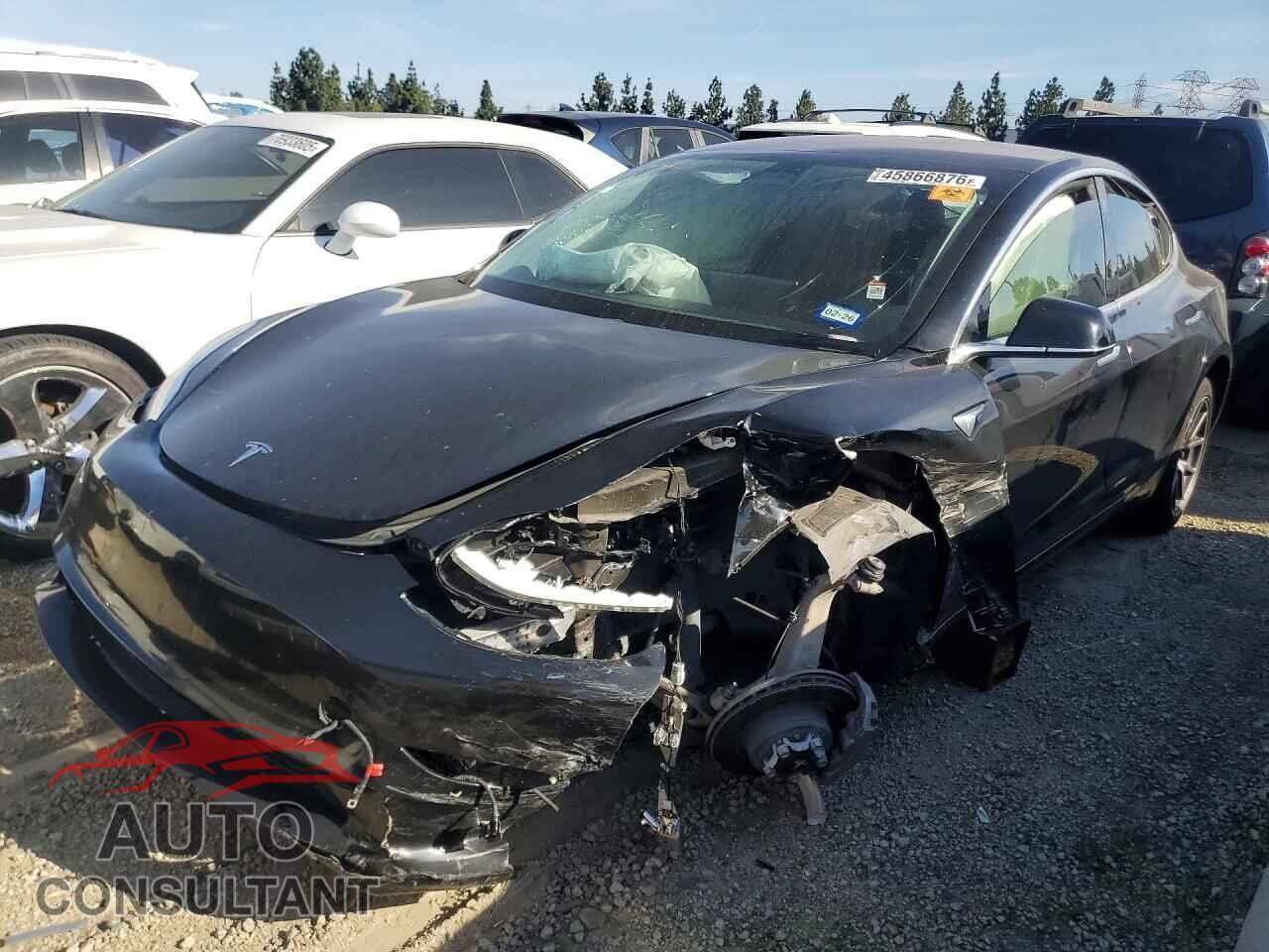 TESLA MODEL 3 2019 - 5YJ3E1EA3KF397794