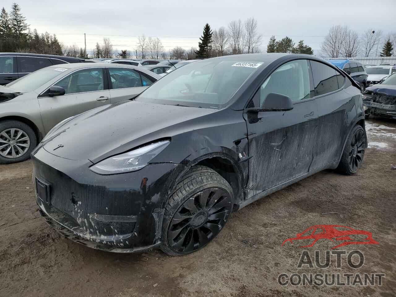 TESLA MODEL Y 2022 - 7SAYGDEF5NF512464