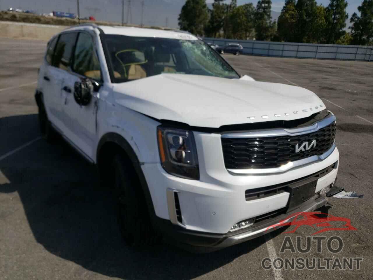 KIA TELLURIDE 2022 - 5XYP54HC4NG258805