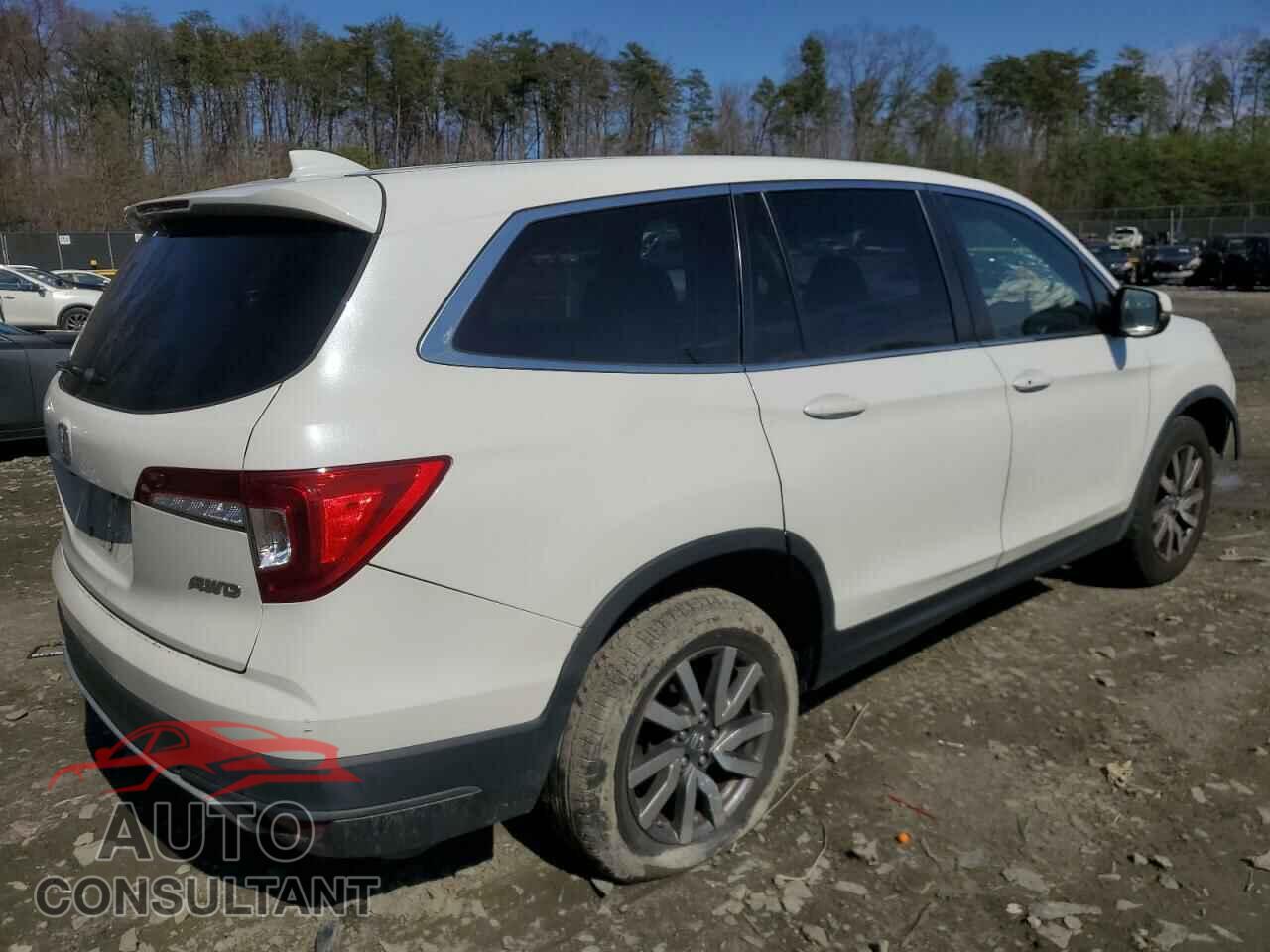 HONDA PILOT 2021 - 5FNYF6H30MB022428
