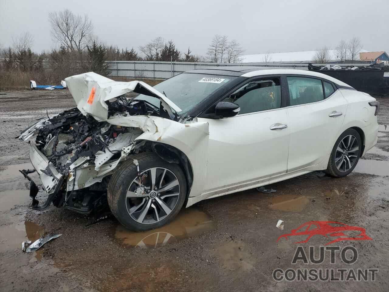 NISSAN MAXIMA 2019 - 1N4AA6AVXKC377201