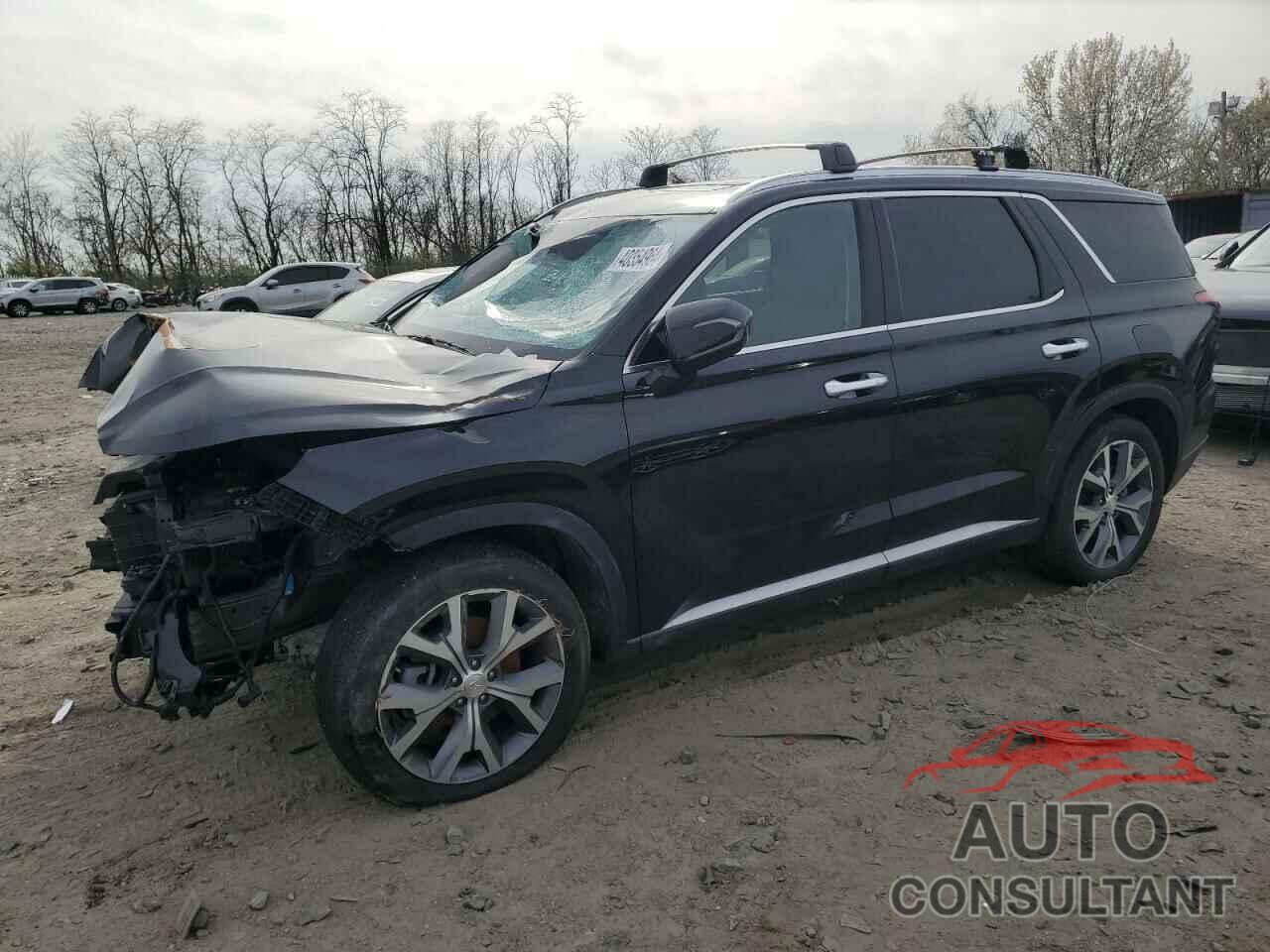 HYUNDAI PALISADE 2021 - KM8R4DHE9MU294463