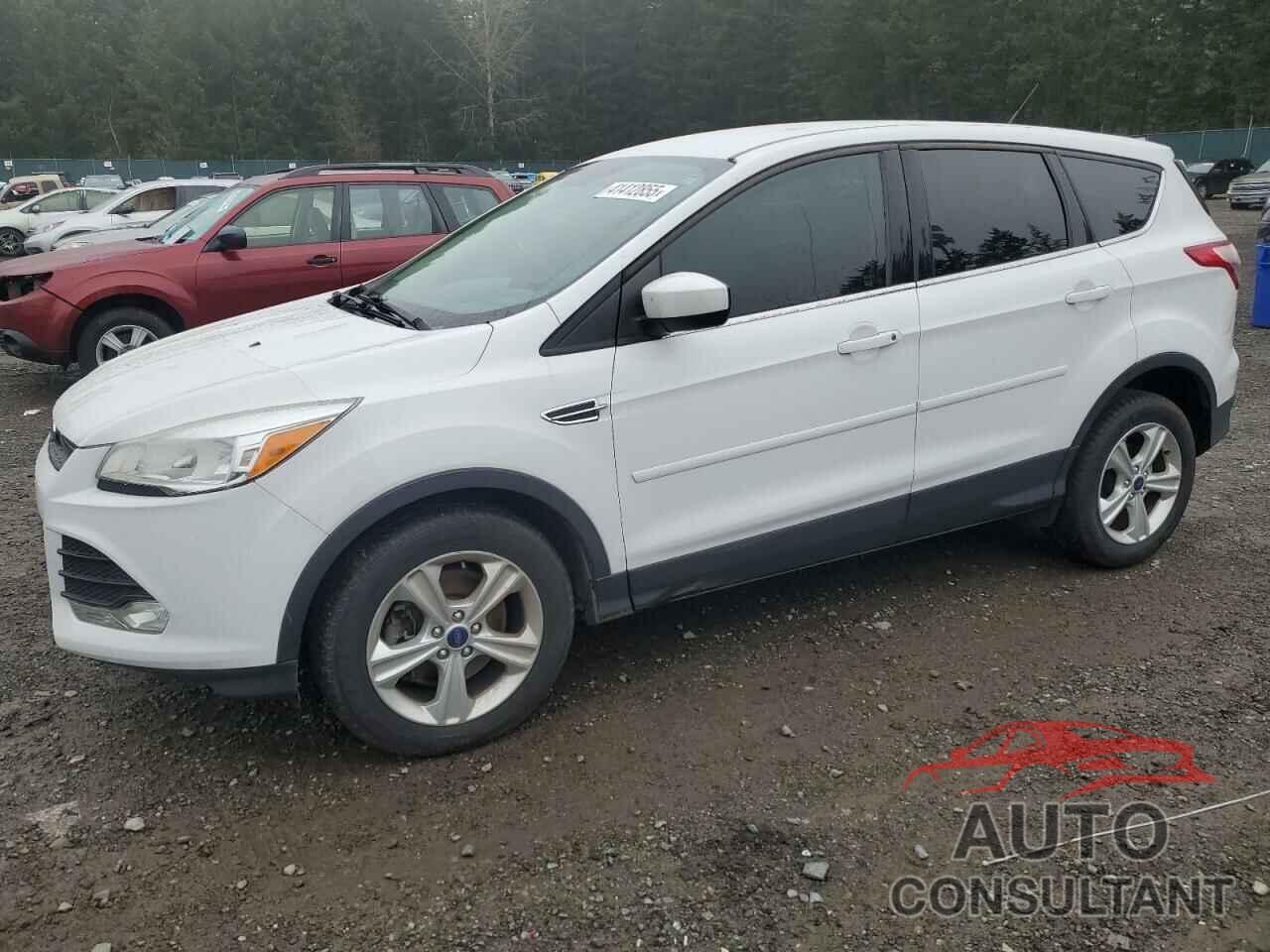 FORD ESCAPE 2014 - 1FMCU9GX6EUC53358