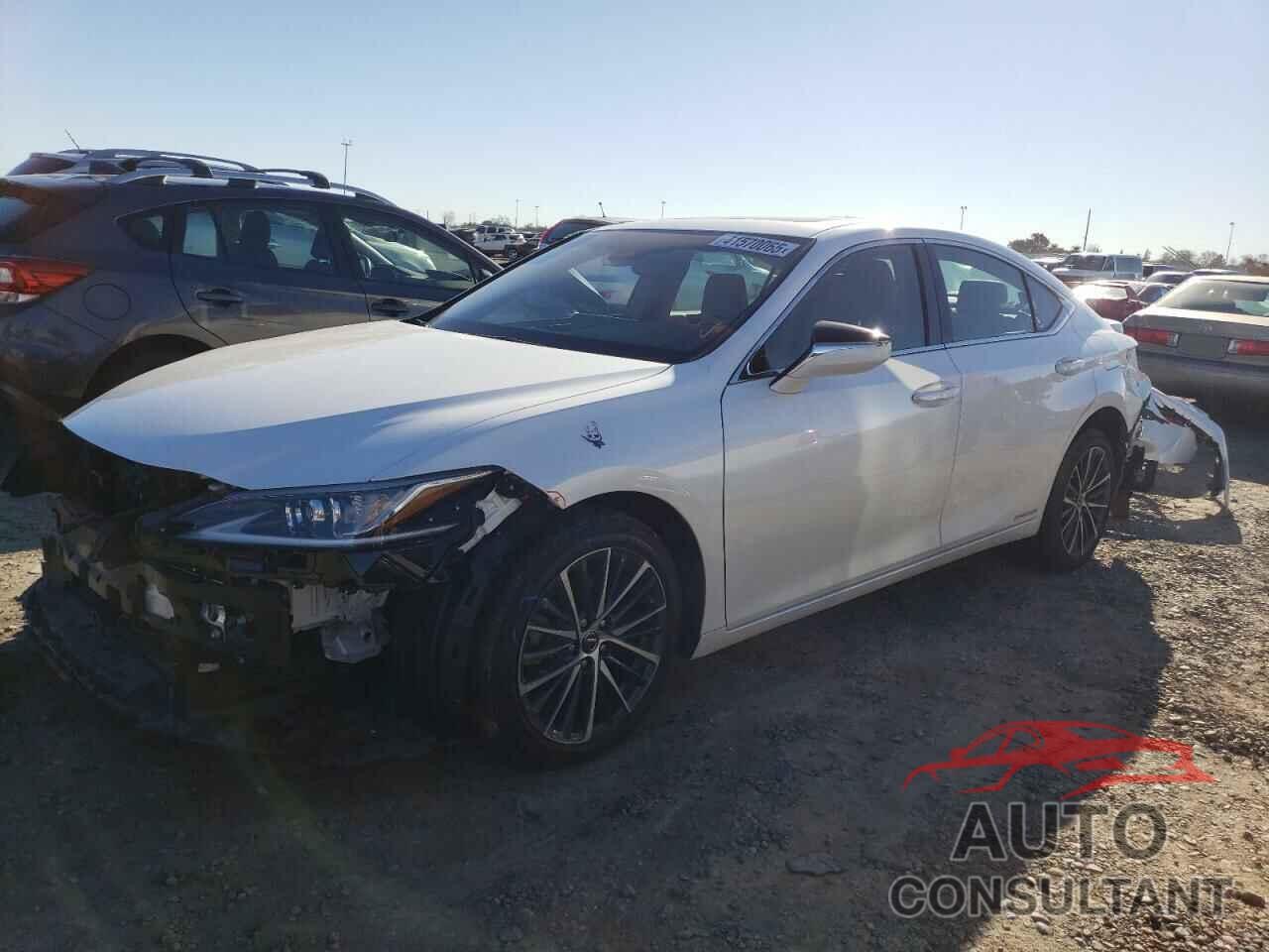 LEXUS ES300 2022 - 58ADA1C13NU014634
