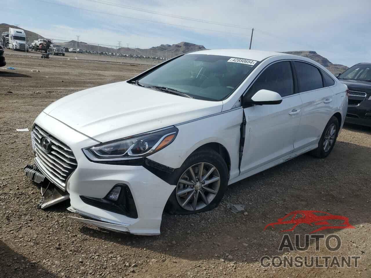 HYUNDAI SONATA 2019 - 5NPE24AF1KH784737