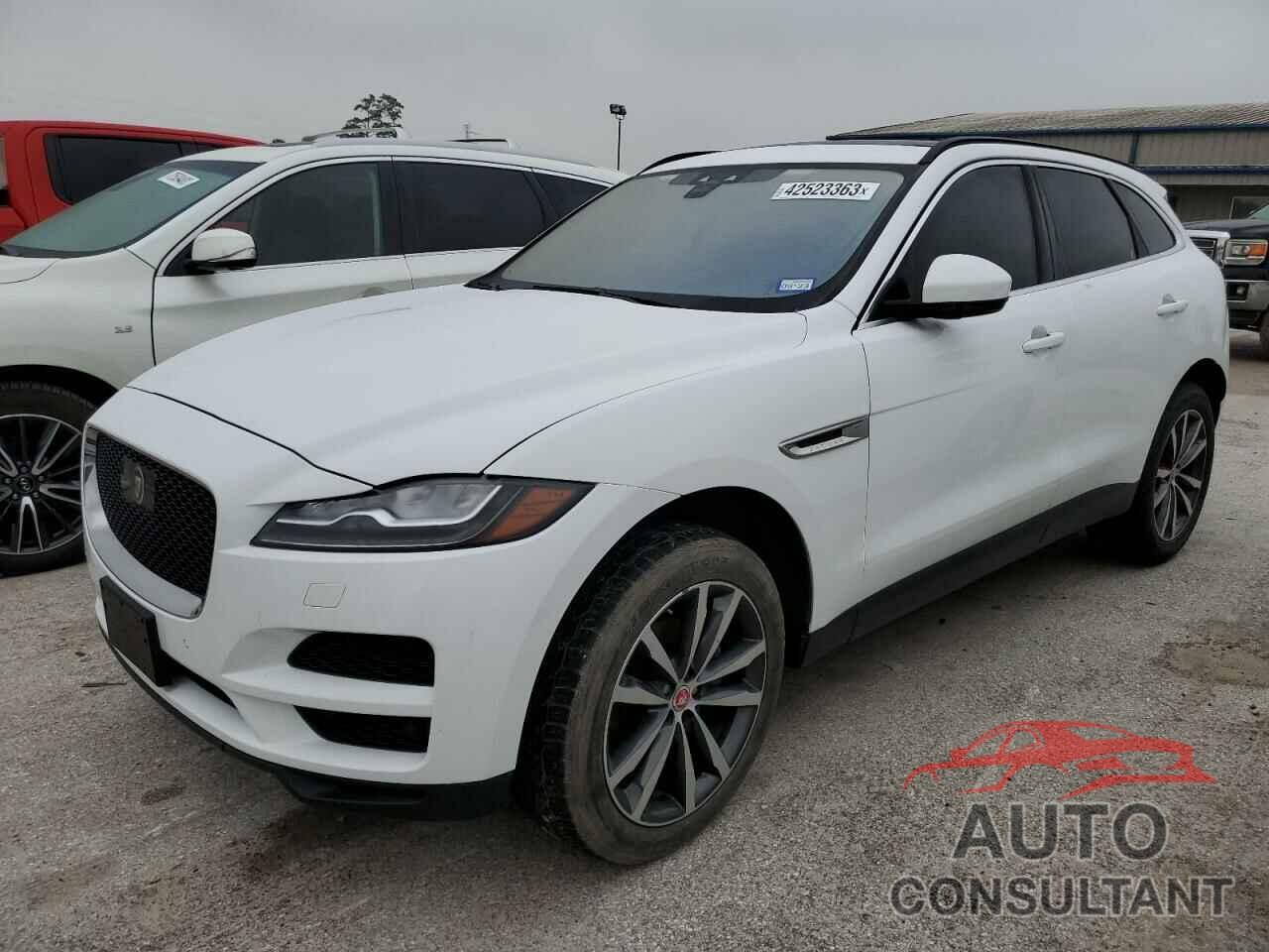 JAGUAR F-PACE 2019 - SADCK2FX6KA354596