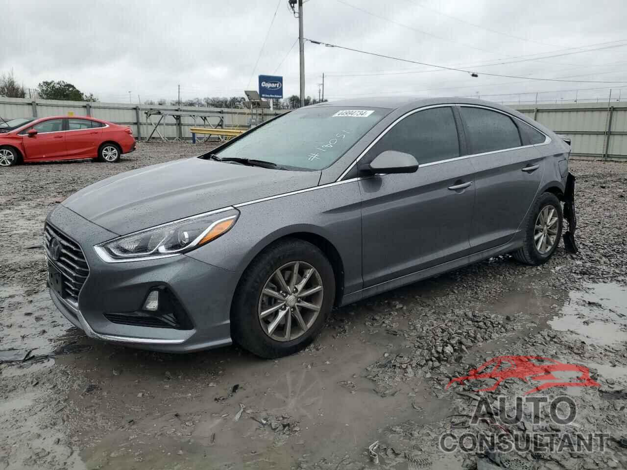HYUNDAI SONATA 2019 - 5NPE24AF3KH787168