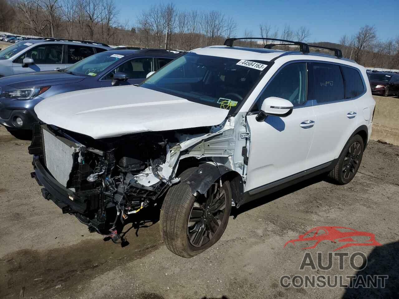 KIA TELLURIDE 2023 - 5XYP5DGC0PG352765