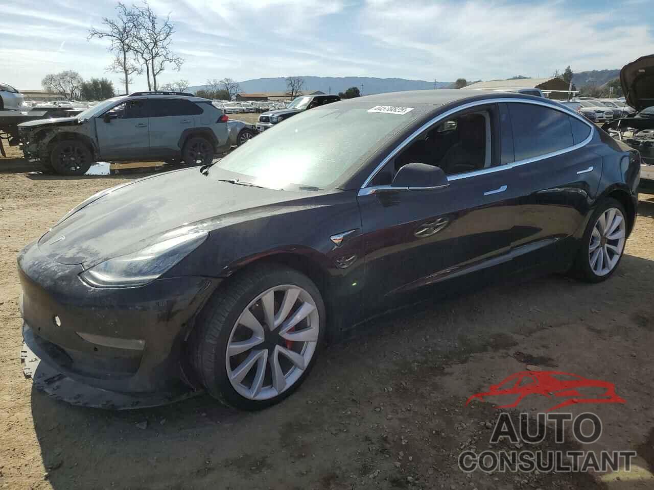 TESLA MODEL 3 2019 - 5YJ3E1EAXKF311719