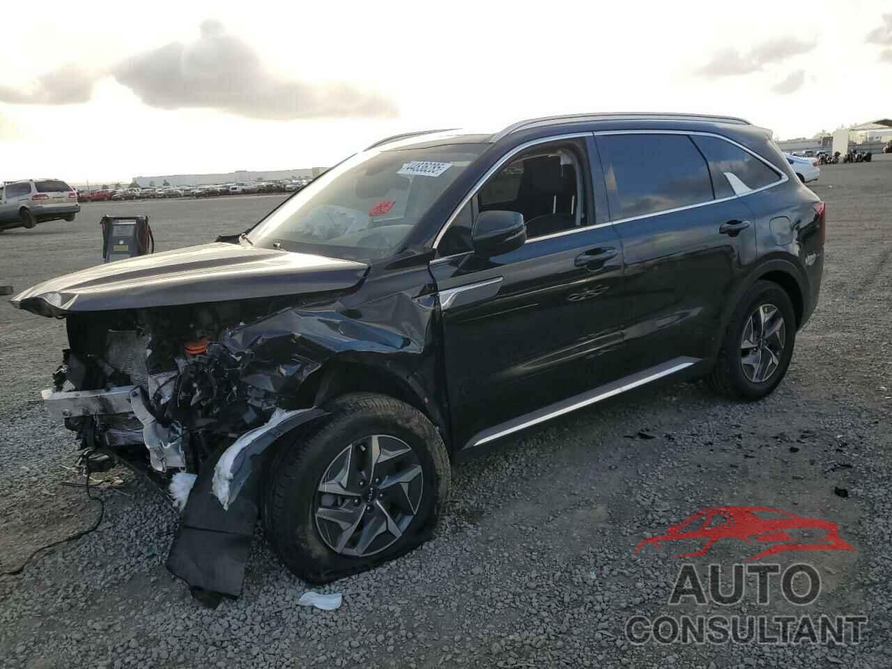 KIA SORENTO 2022 - KNDRH4LG3N5116139