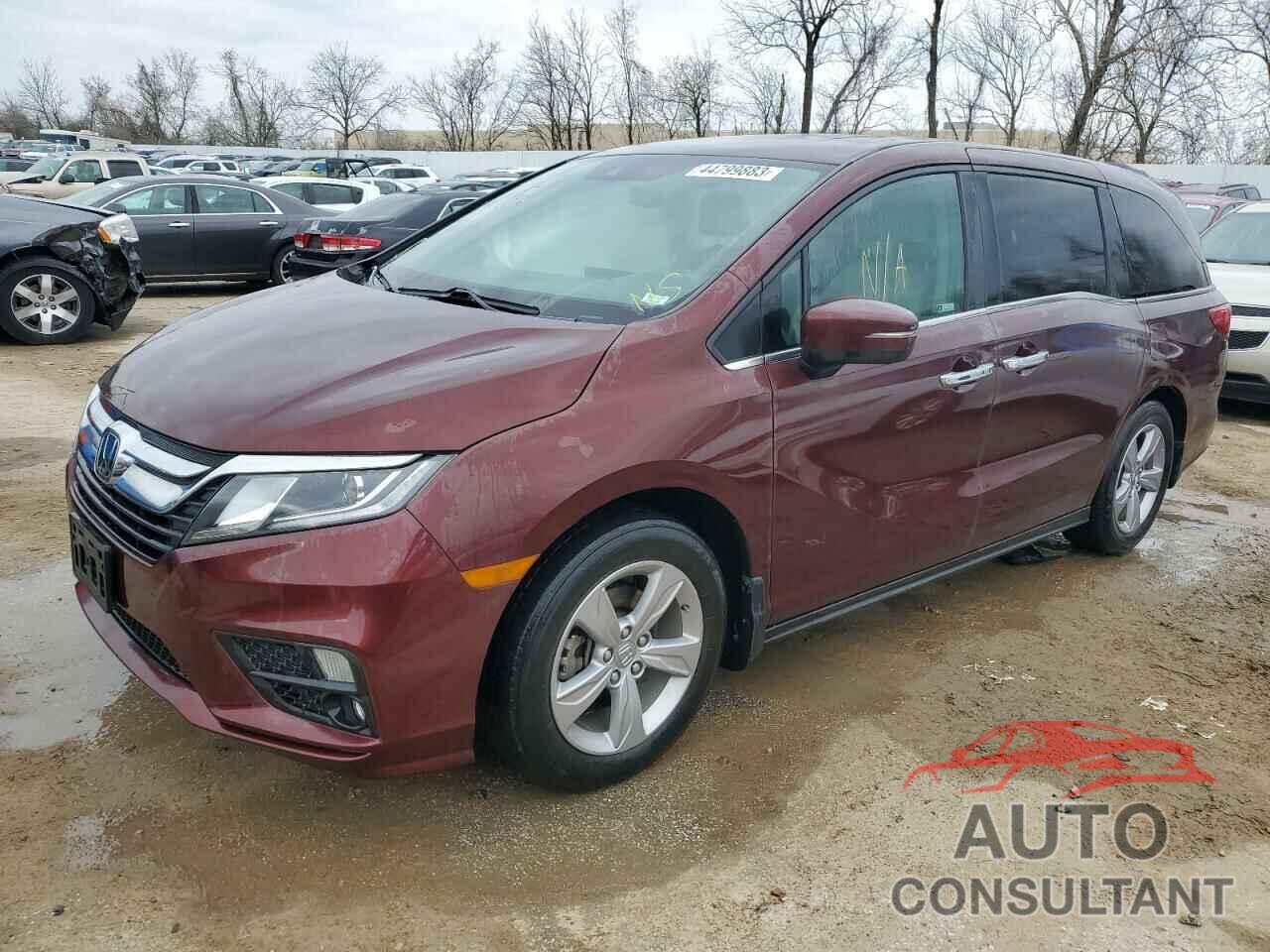 HONDA ODYSSEY 2019 - 5FNRL6H79KB116613