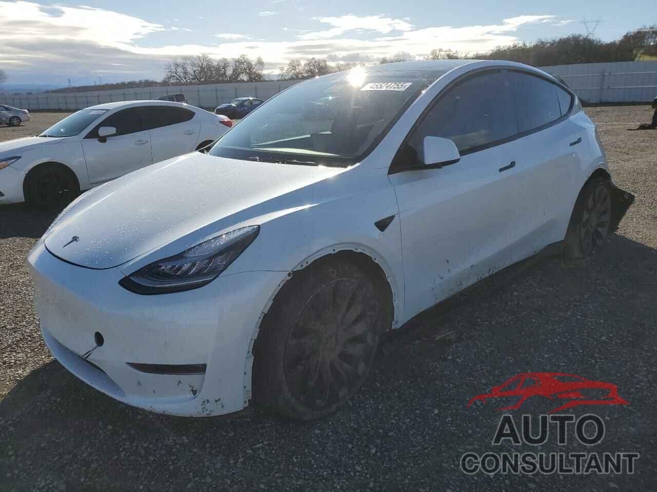 TESLA MODEL Y 2020 - 5YJYGDEF1LF023019