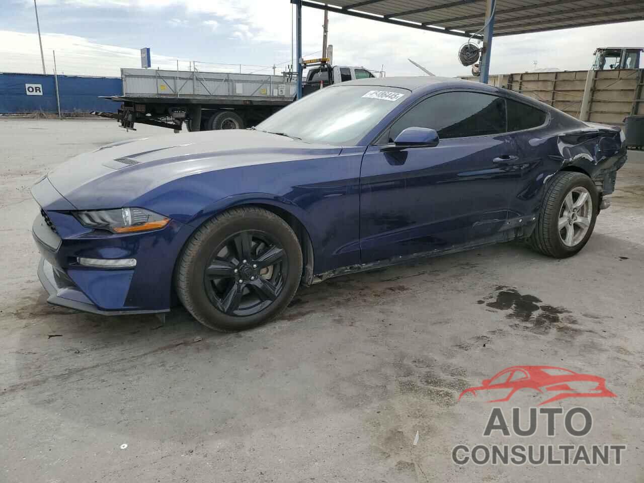 FORD ALL Models 2019 - 1FA6P8TH4K5130686