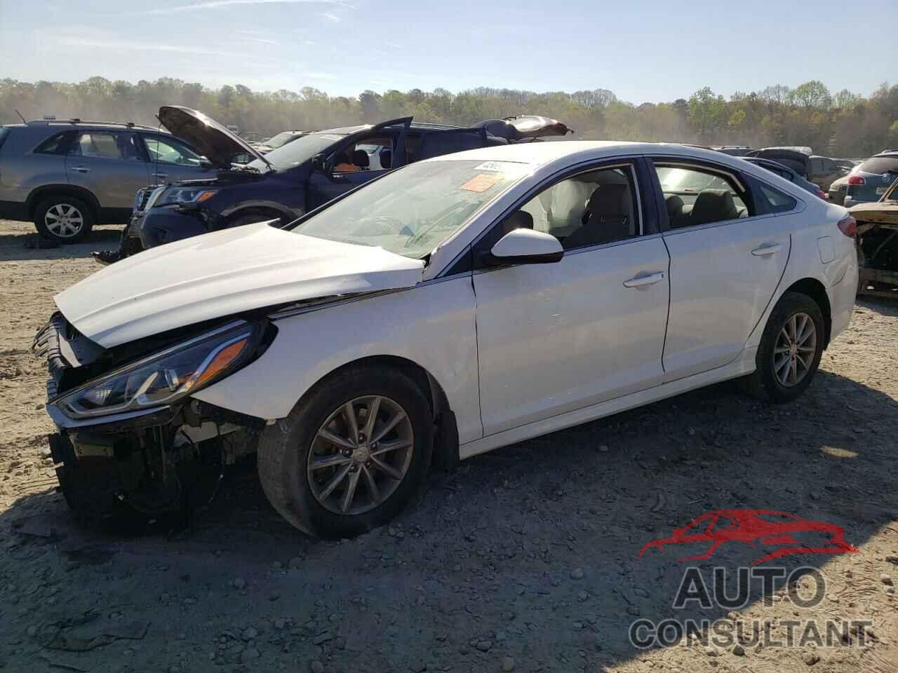 HYUNDAI SONATA 2019 - 5NPE24AF5KH806948