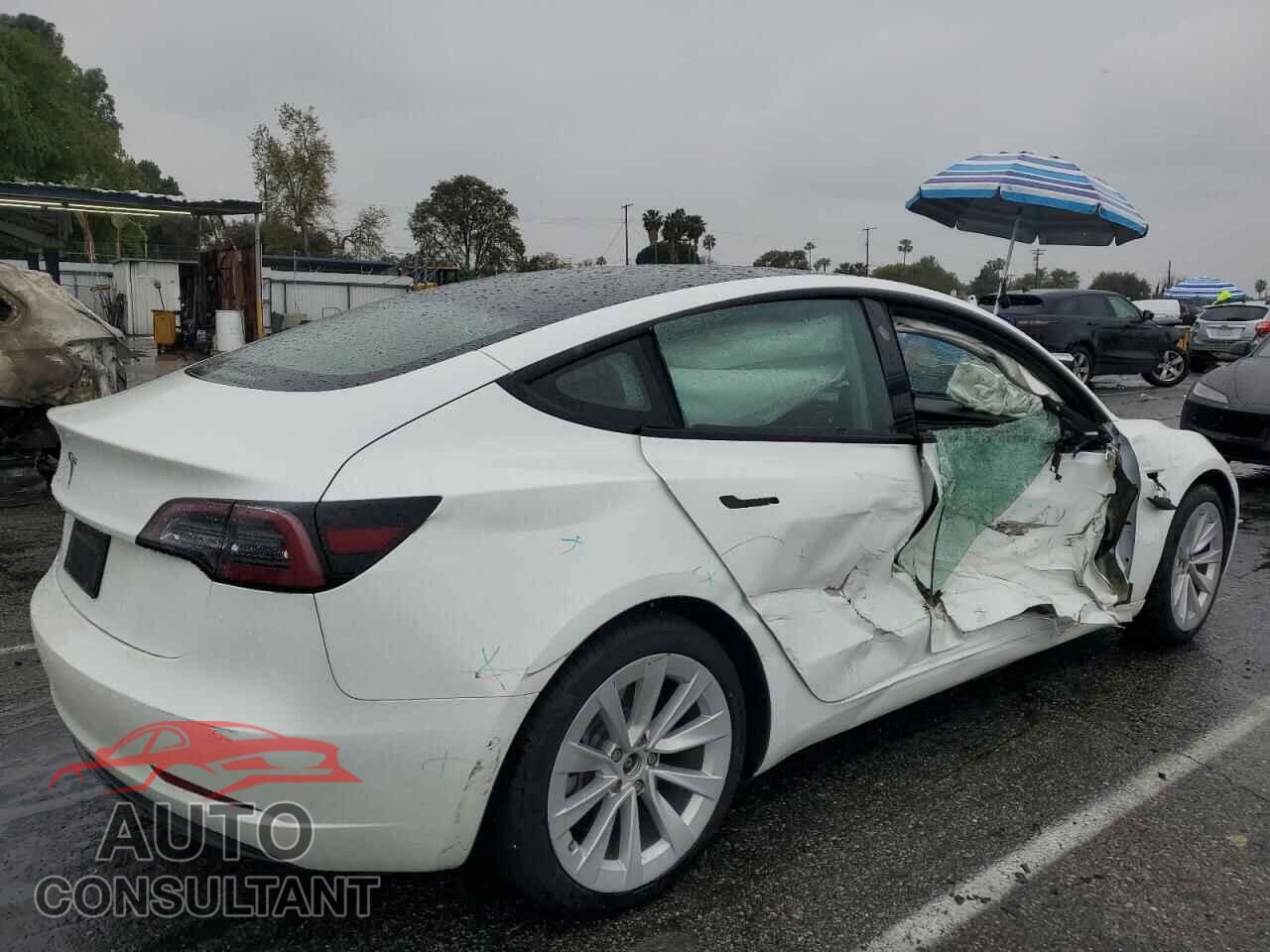 TESLA MODEL 3 2021 - 5YJ3E1EA5MF996201