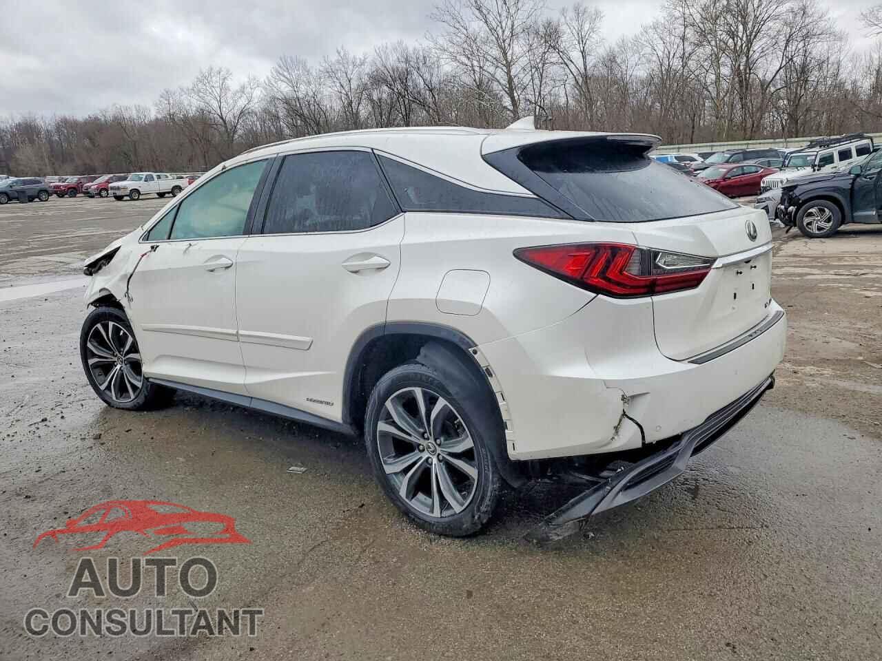 LEXUS RX450 2019 - 2T2BGMCA3KC034440