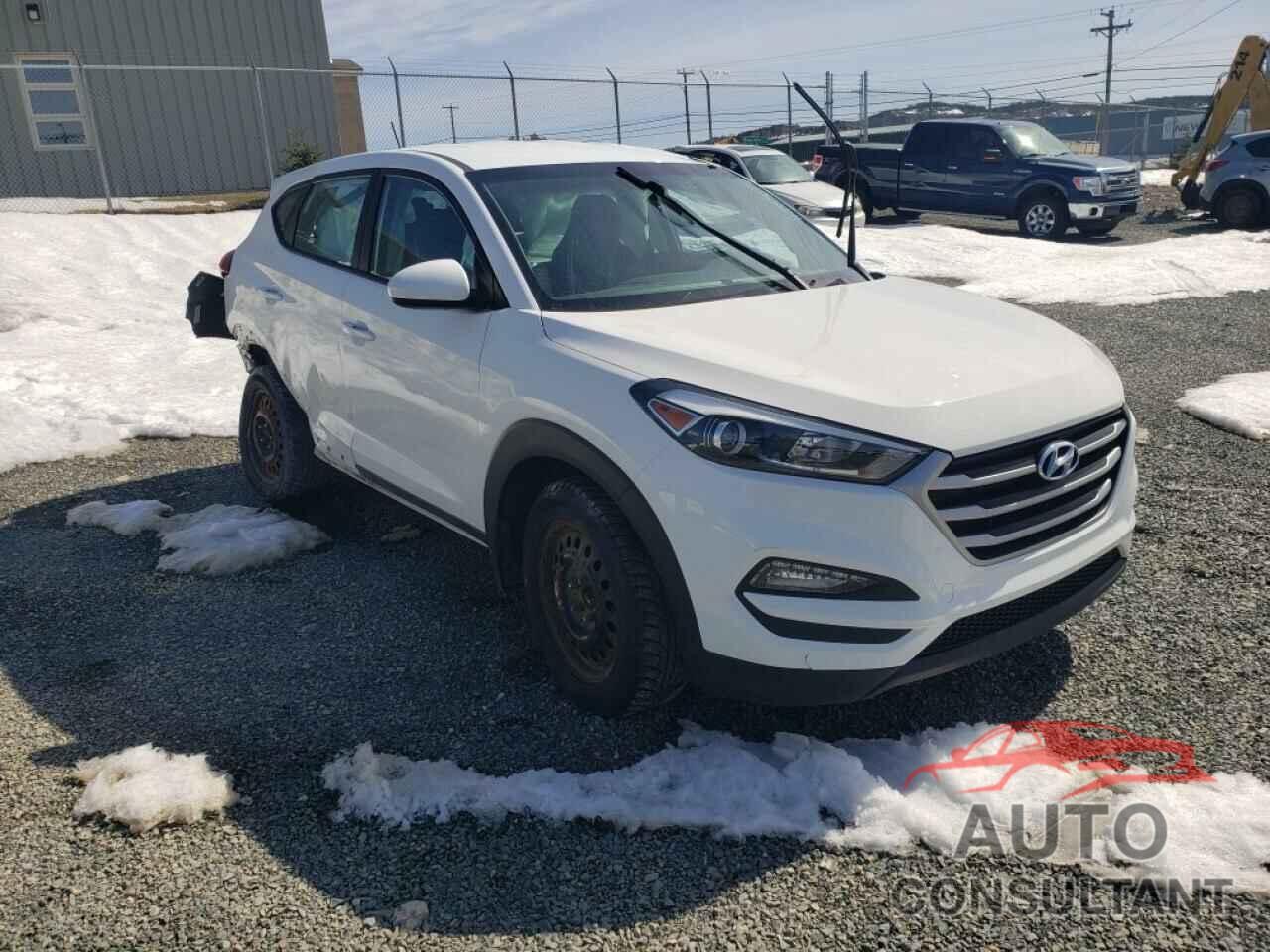 HYUNDAI TUCSON 2017 - KM8J2CA47HU502599