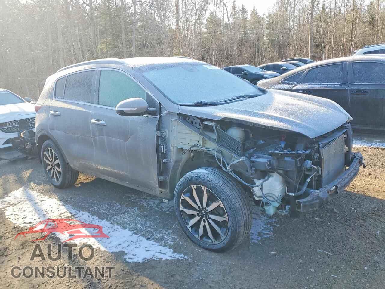 KIA SPORTAGE 2017 - KNDPNCAC5H7057825
