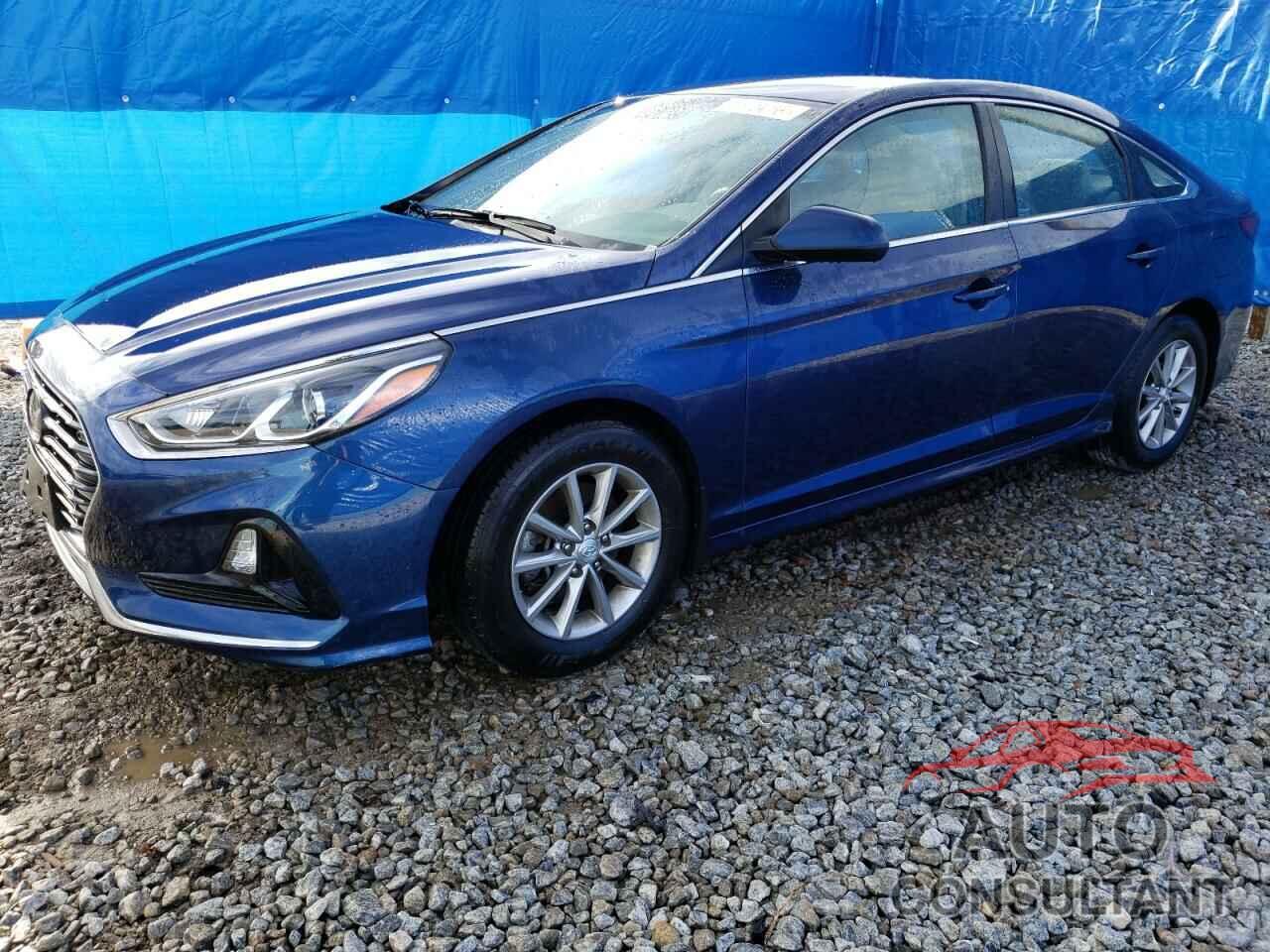 HYUNDAI SONATA 2019 - 5NPE24AF2KH816398