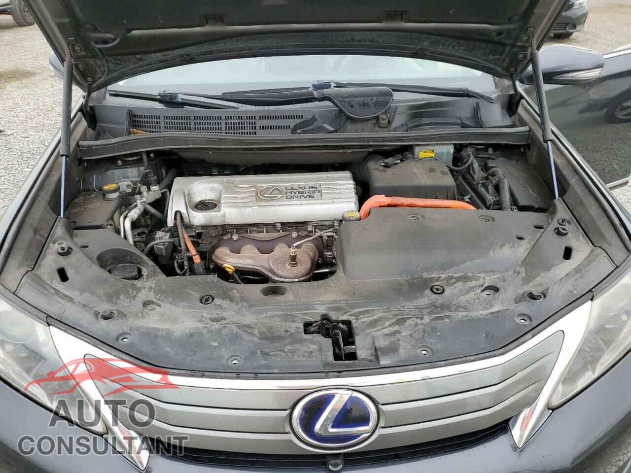 LEXUS HS 2010 - JTHBB1BA6A2011118