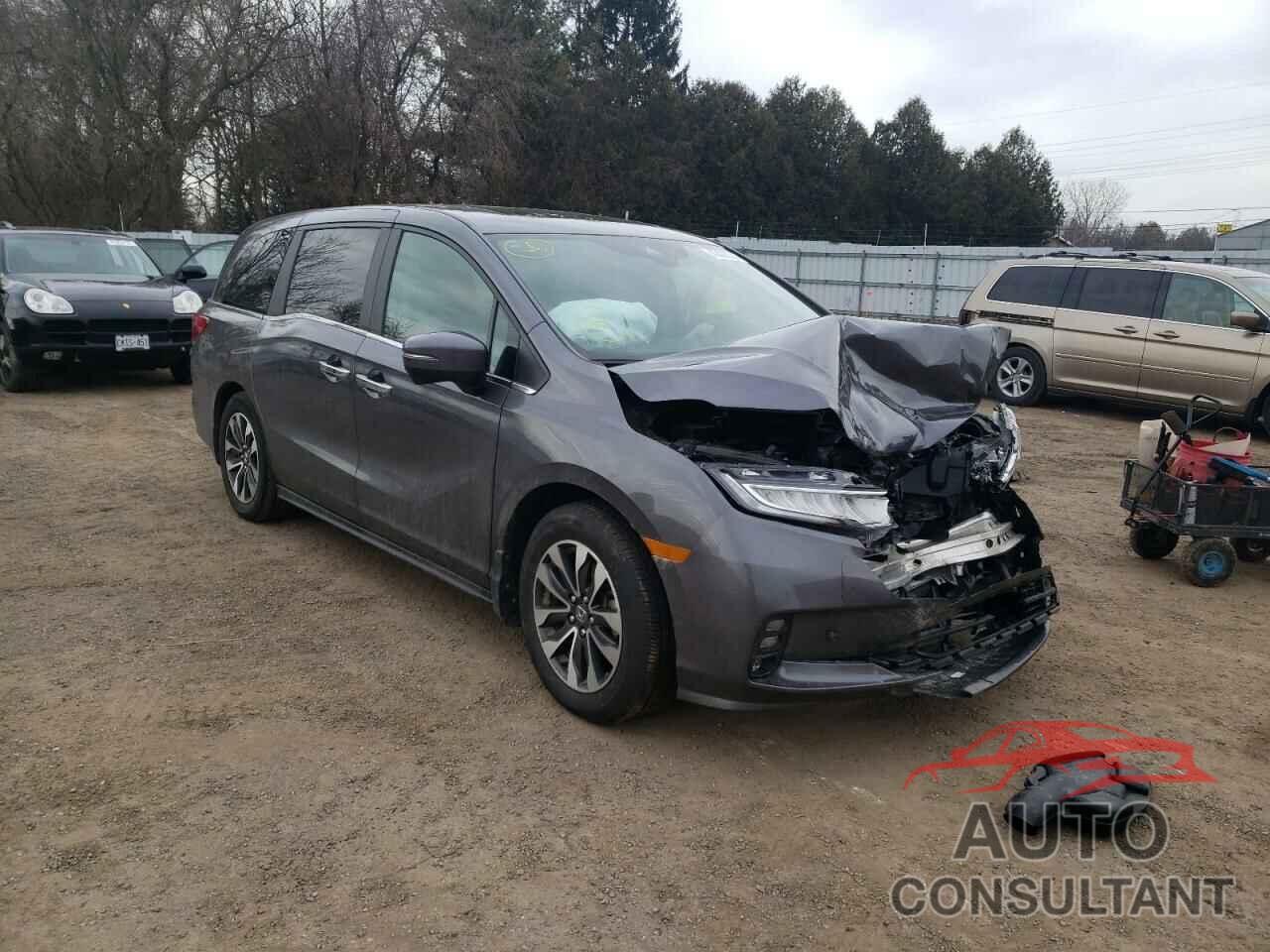 HONDA ODYSSEY 2022 - 5FNRL6H6XNB501139