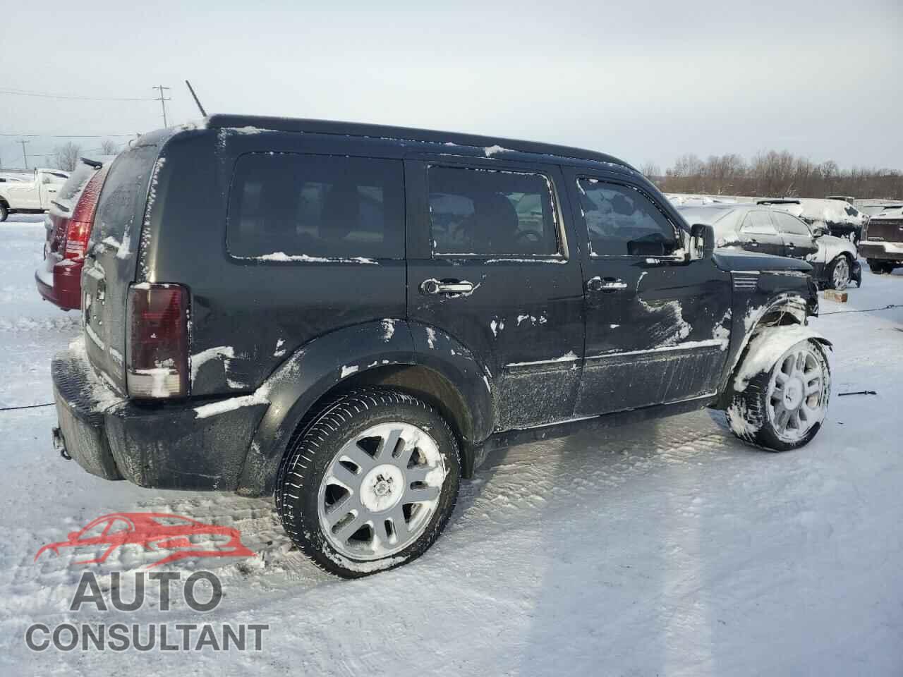 DODGE NITRO 2011 - 1D4PU4GX2BW501410