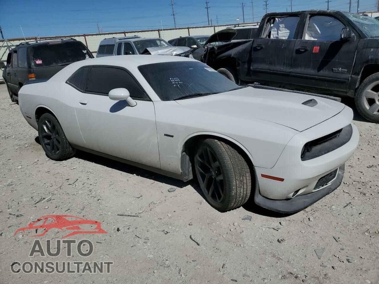 DODGE CHALLENGER 2019 - 2C3CDZBT1KH513399