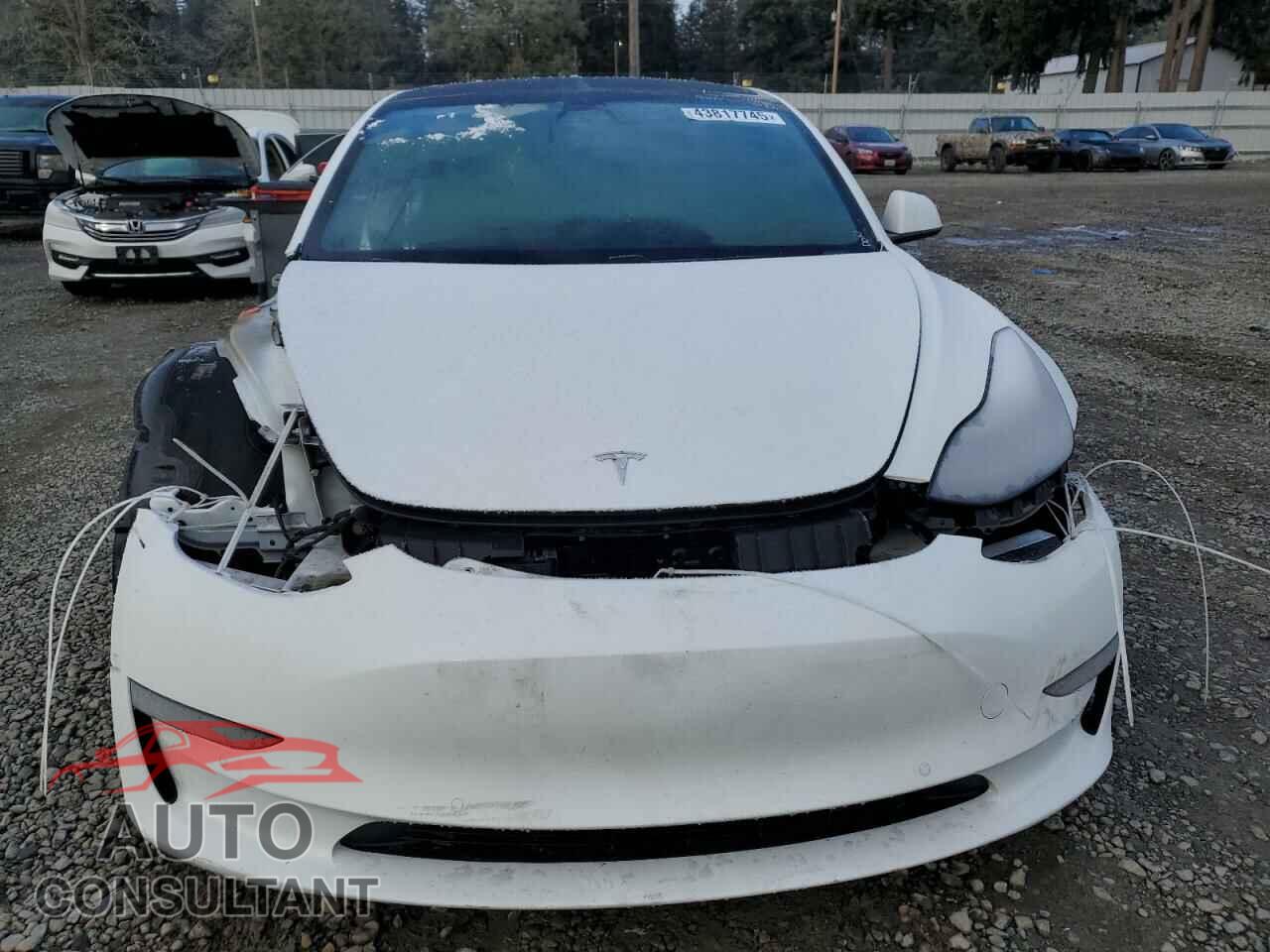 TESLA MODEL 3 2021 - 5YJ3E1EB3MF927628