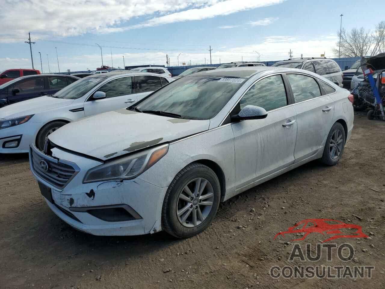 HYUNDAI SONATA 2017 - 5NPE24AFXHH544532